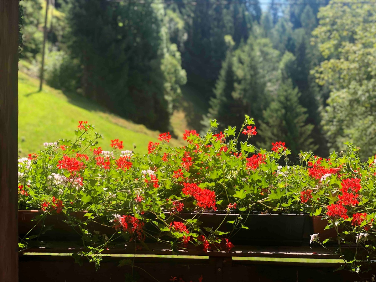 Bergbauernhof Prama - wildromantisch in Alleinlage