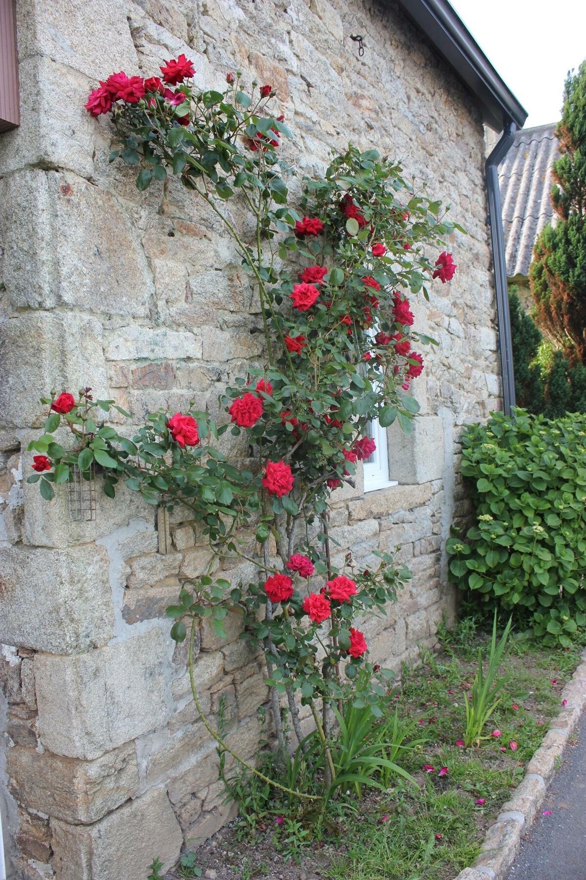 Maison à la campagne dans le sud Finistère