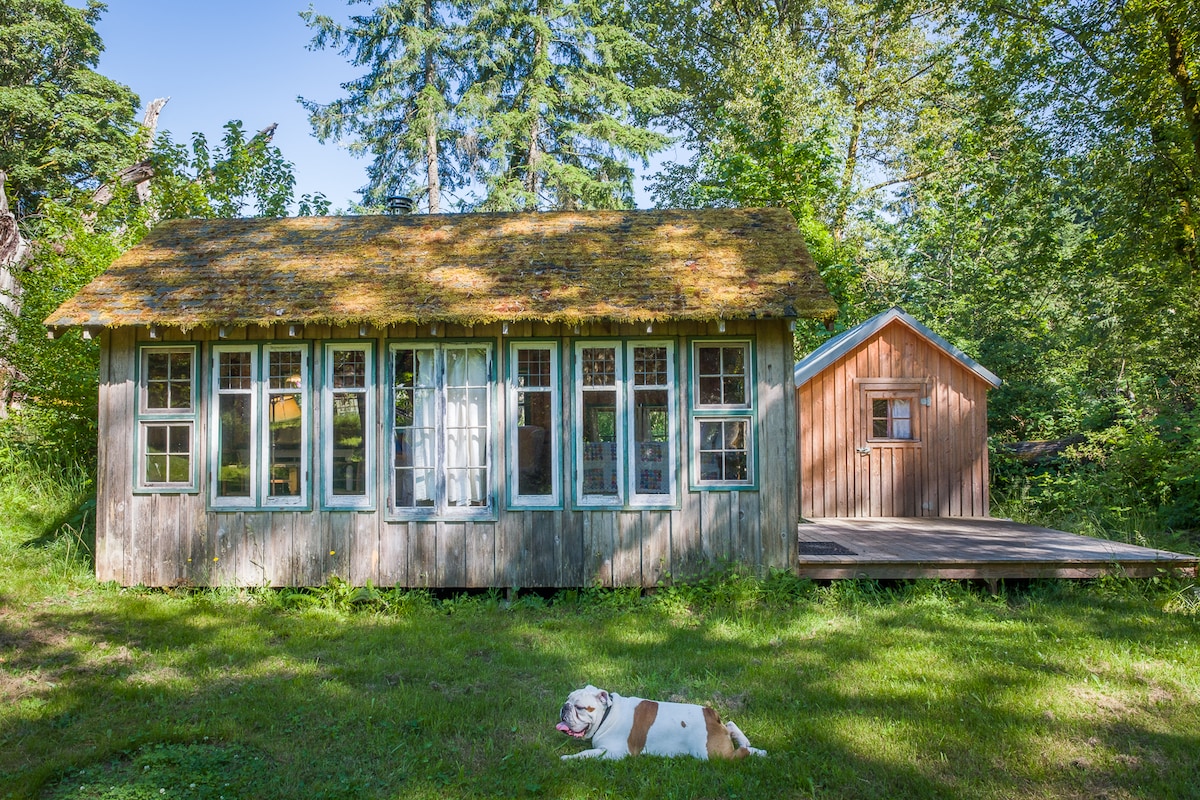 Little Gemma: Dreamy Vashon Cabin