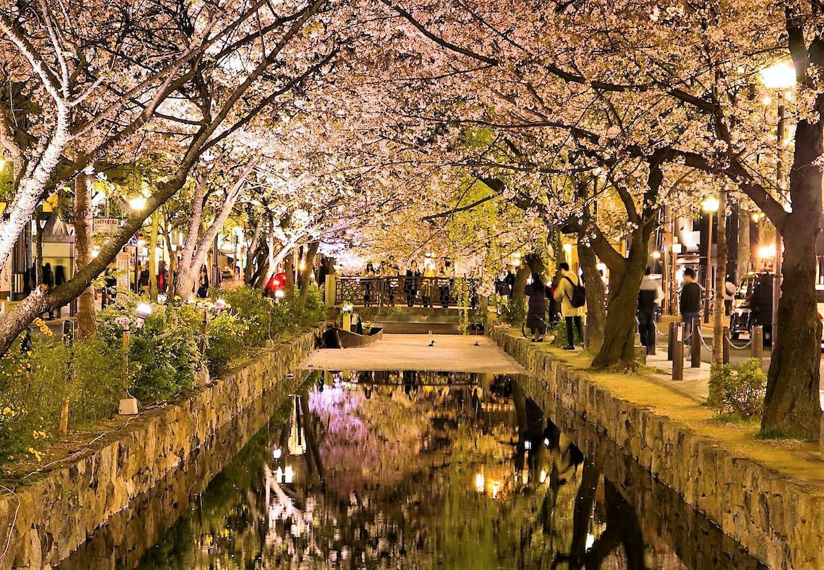 京都站八条口，步行3分钟，位置最佳，每天1组，全馆包租，60平米
