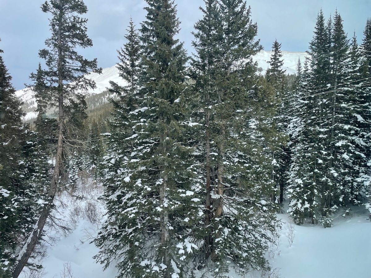 Cozy Moose Chalet - Ski/Hike/Dine/Game Room
