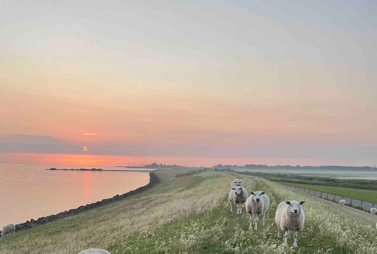 位于IJsselmeer Warns附近美丽景点的度假木屋