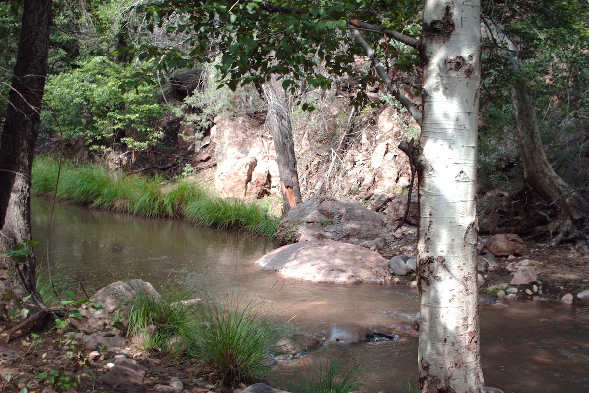 海格勒溪（ Haigler Creek ）小木屋度假-无需支付清洁费