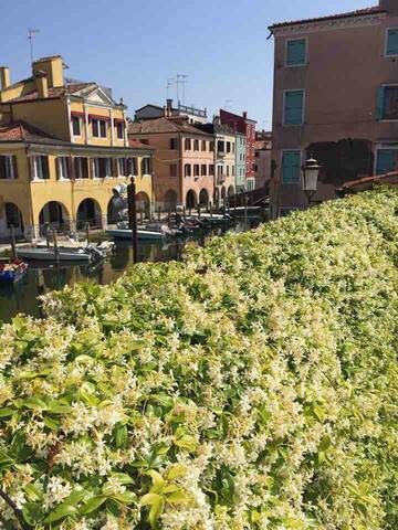 基奥贾 (Chioggia)的民宿