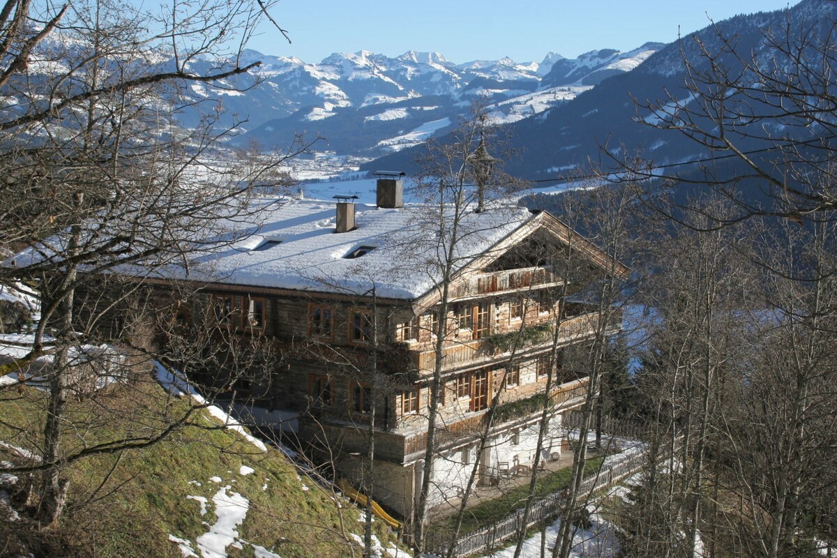 Elite Chalet near Ski Slopes in Westendorf