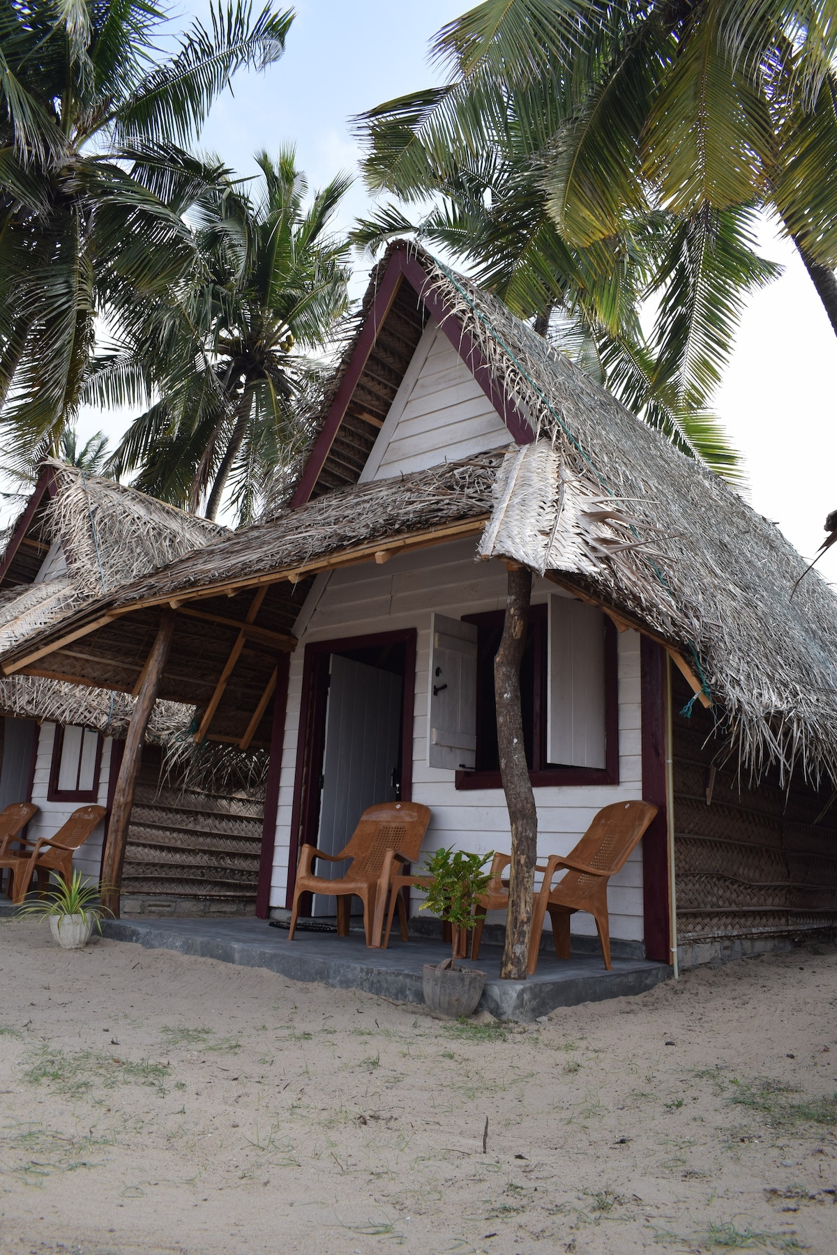 kalpitiya潜水中心、小屋海龟