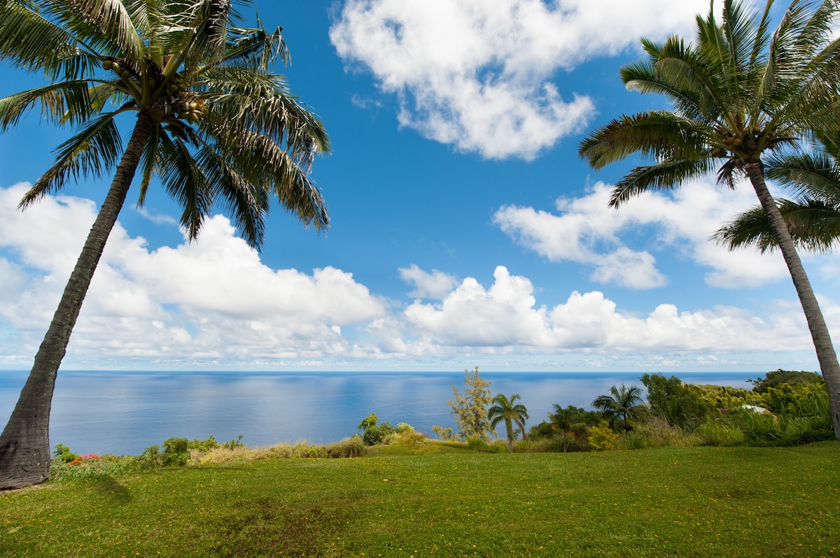 Orchard Cottage-On Ocean Cliff ！