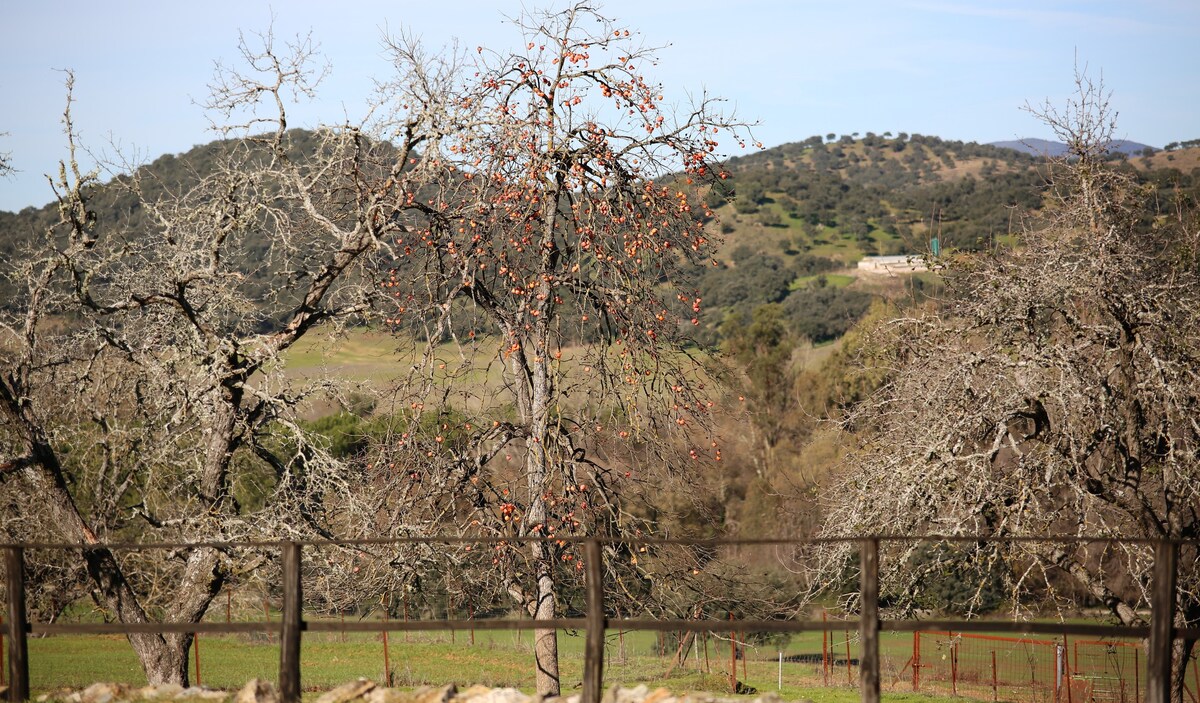 El Oúho Real, Hacienda Escutia, Vía Verde Sevilla