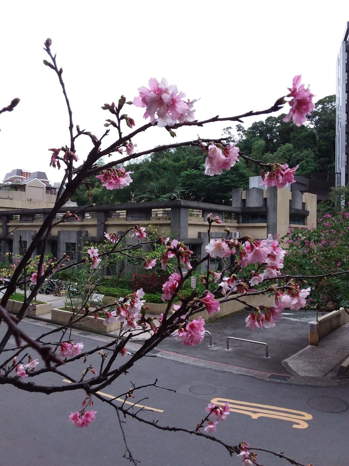 萬芳醫院MRT /文山運動中心/獨立清幽精品能量水晶房