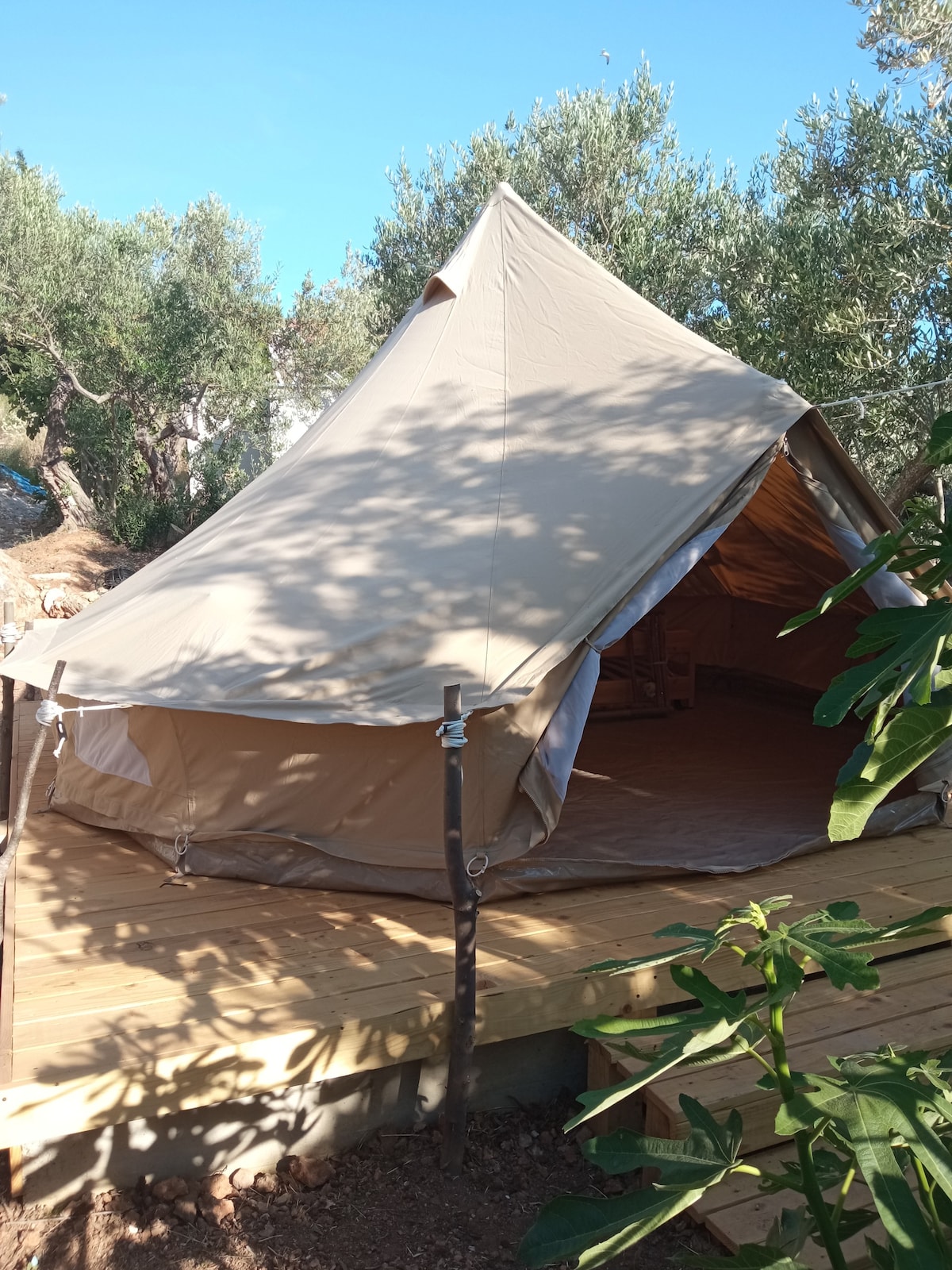 Mini kamp Perla tent 3