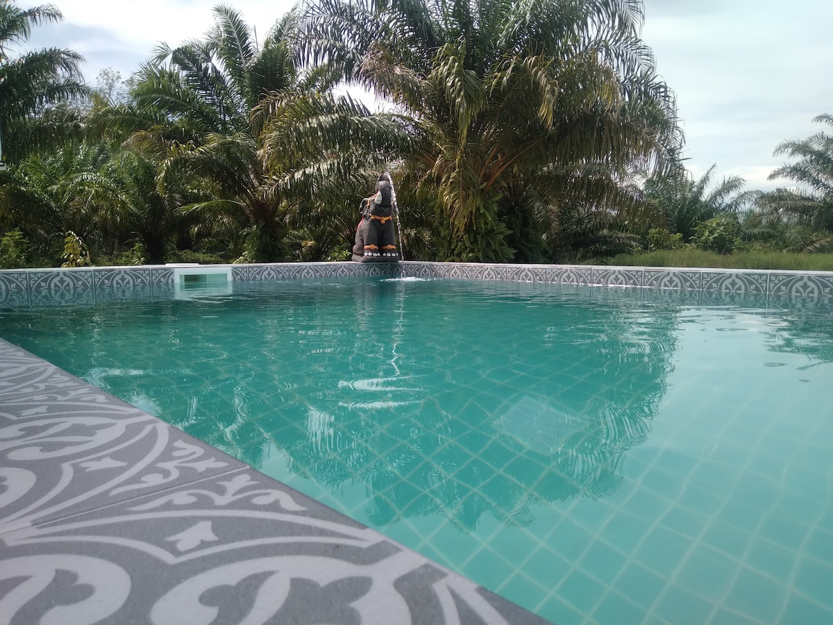 Cattleya pool Villa.