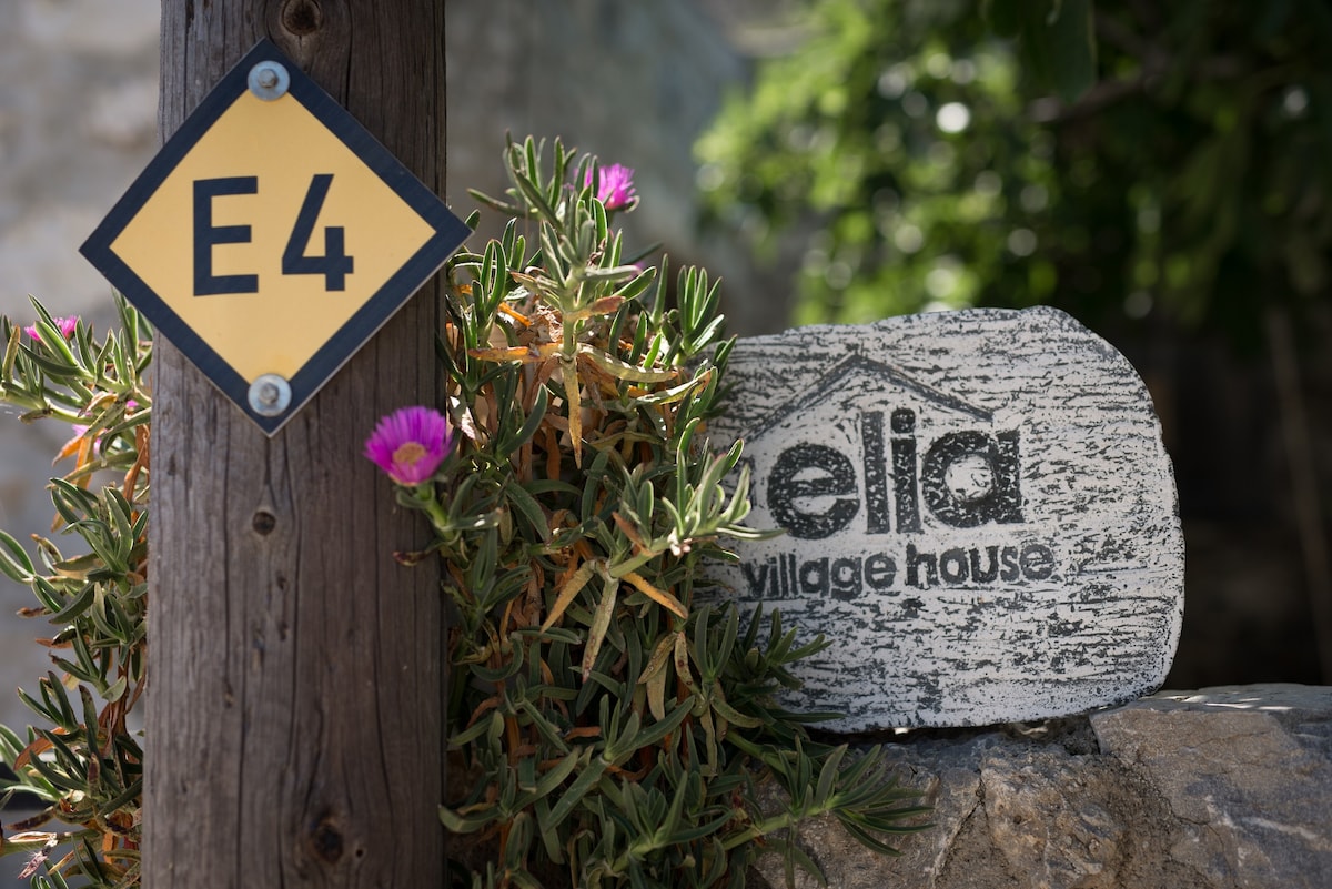 Elia Village House