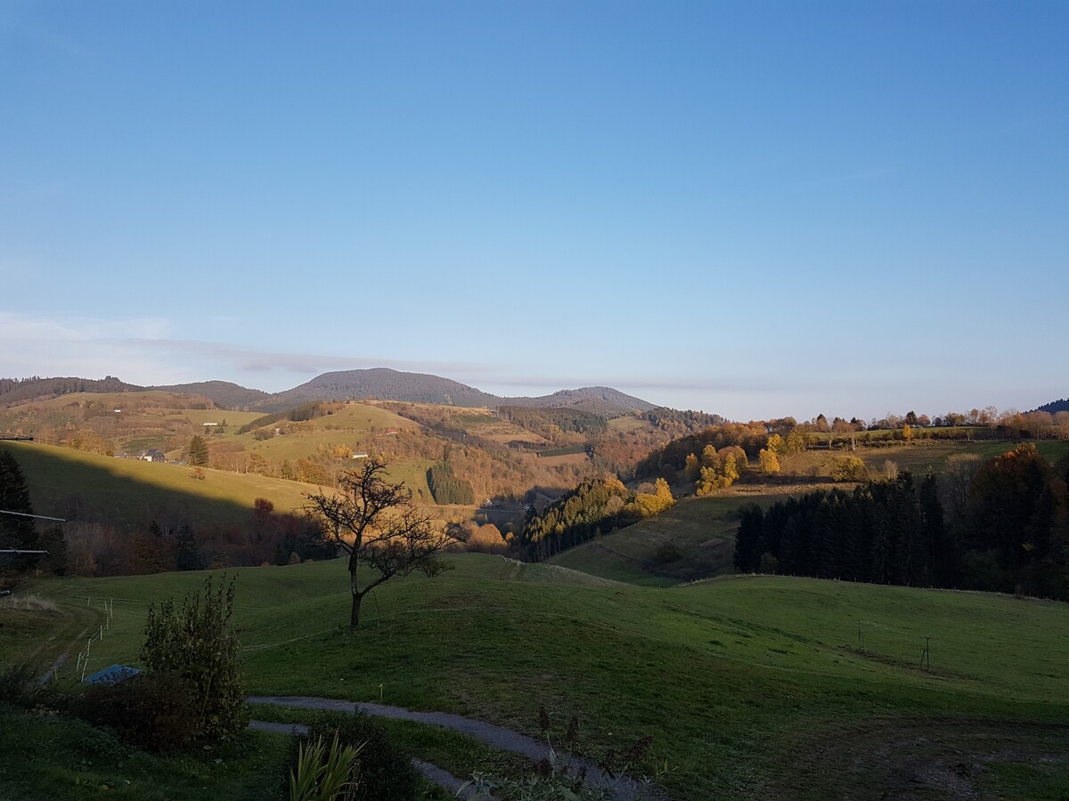 Mon doux Nid- La Hulotte Gîte rural 5 personnes