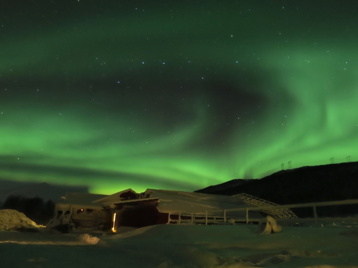 Lyngshesten. Rom 5. Arctic farmhouse