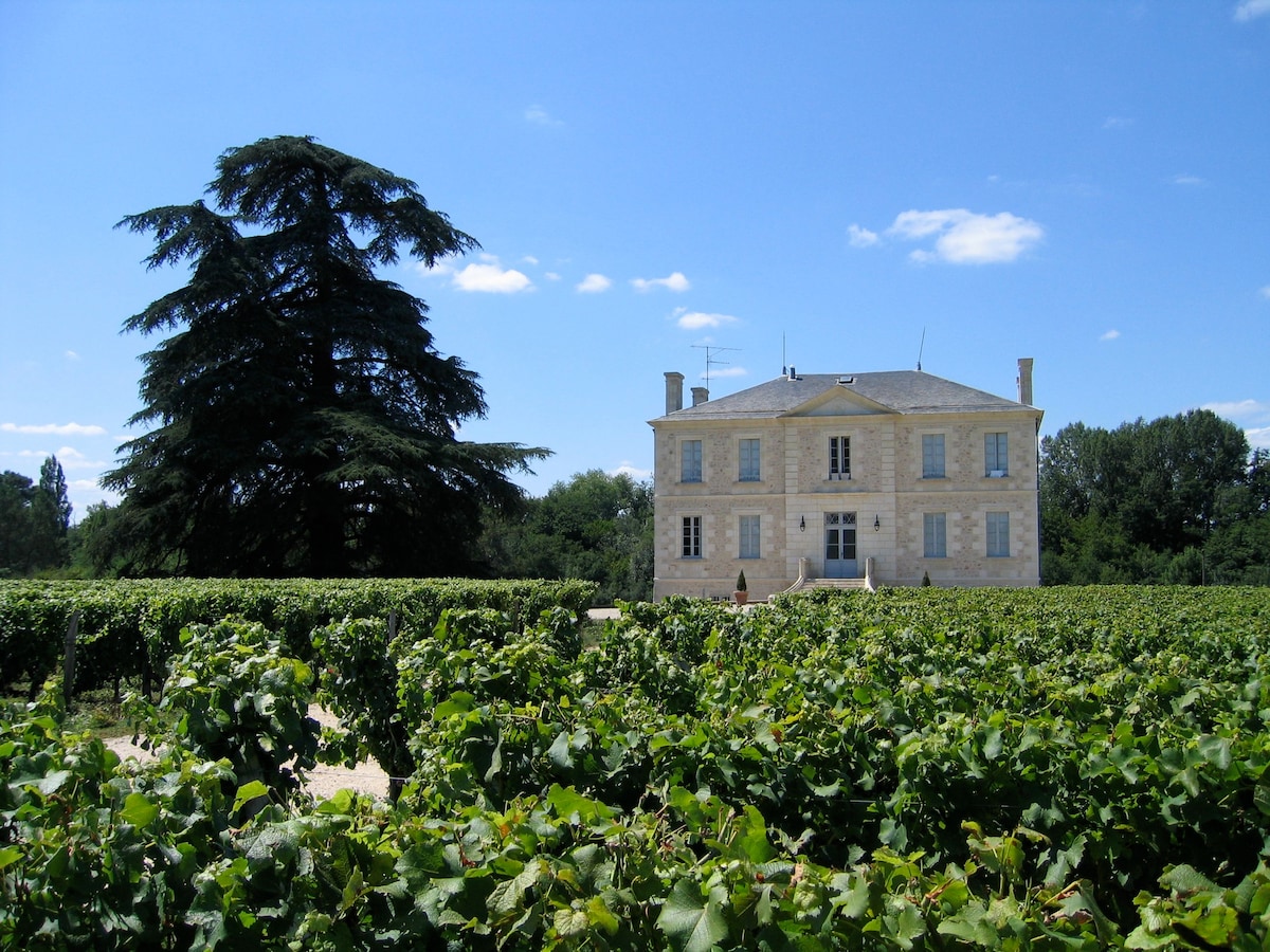 Castle in Sauternais