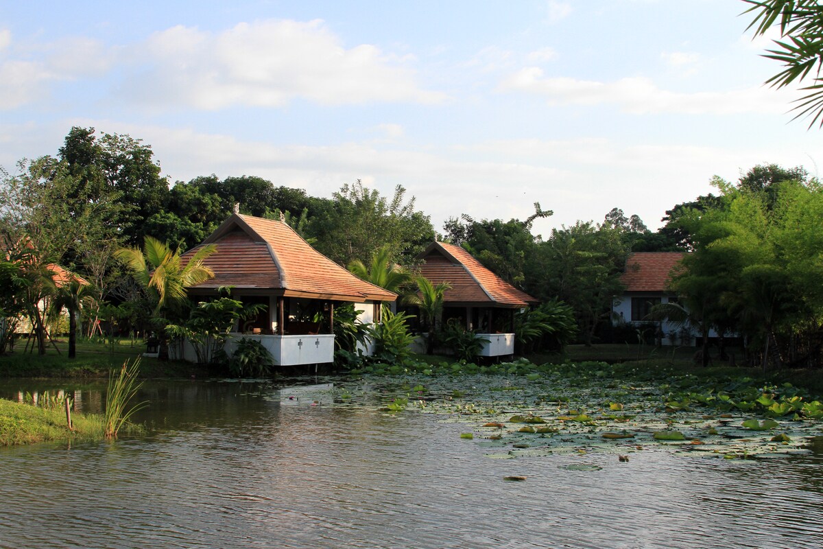 Jasmine Hills Lodge ，天堂