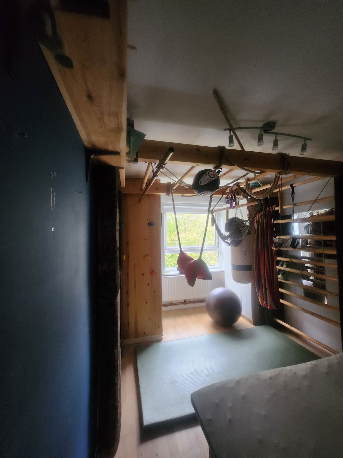 Bright sunny tree view bedroom