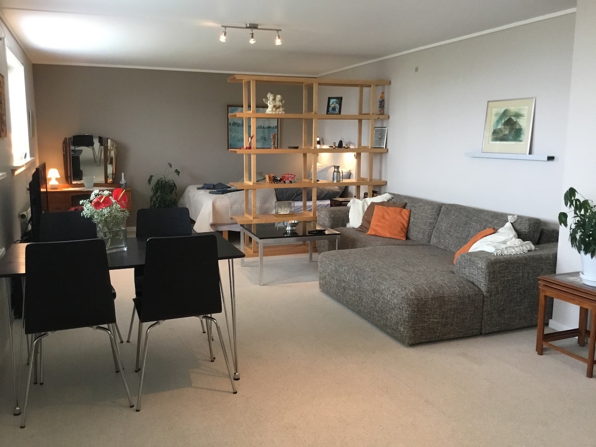 Torshavn中心舒适公寓65平方米，可欣赏美景