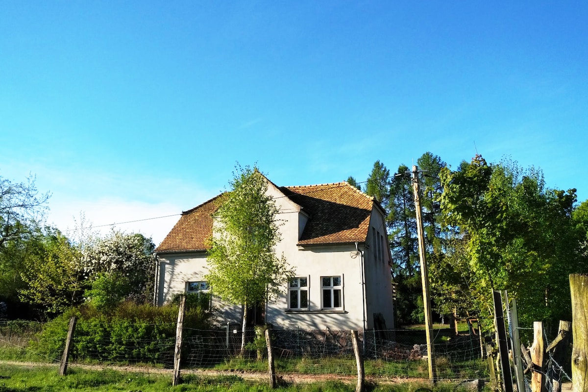 Hoher Fläming自然公园： Villa Arensnest + Yogaraum