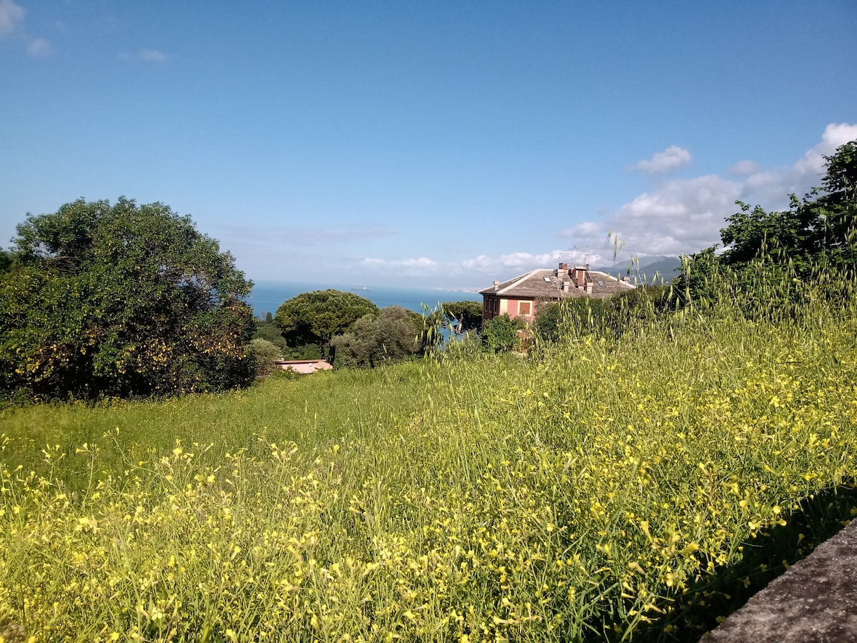 B&B Casa Ninni, Stanza sul Giardino, Posto auto