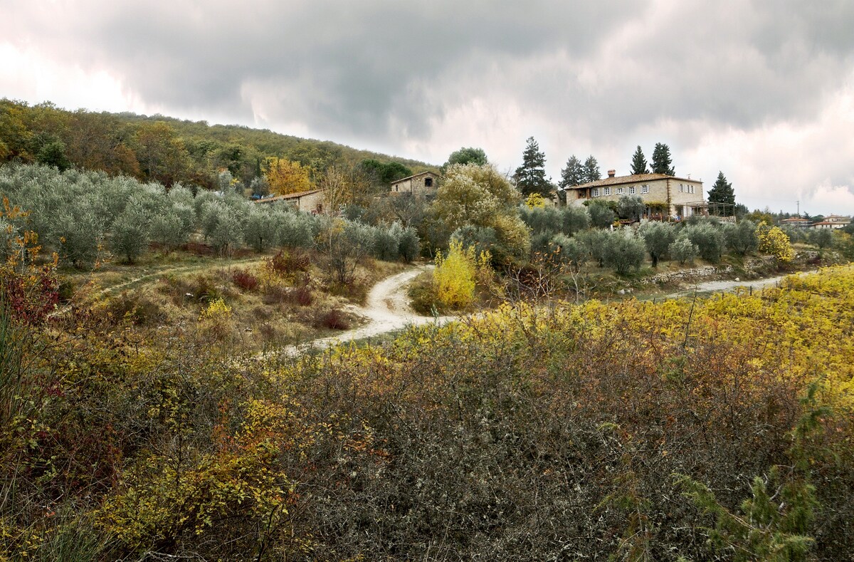 Vista sulla valle in Chianti