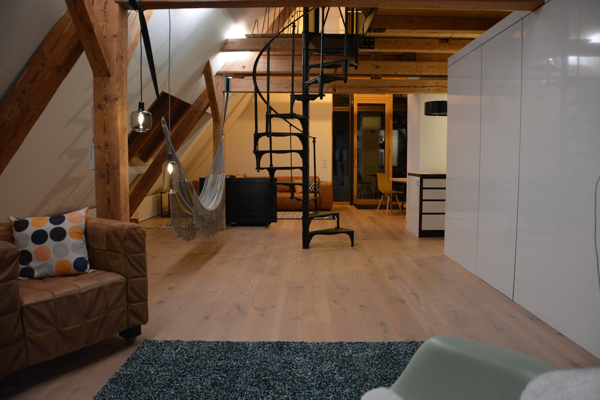 The Attic Loft - Architekten Loft im Rheintal