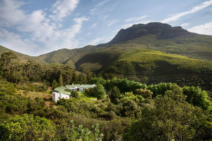 斯泰伦博斯(Stellenbosch)的民宿