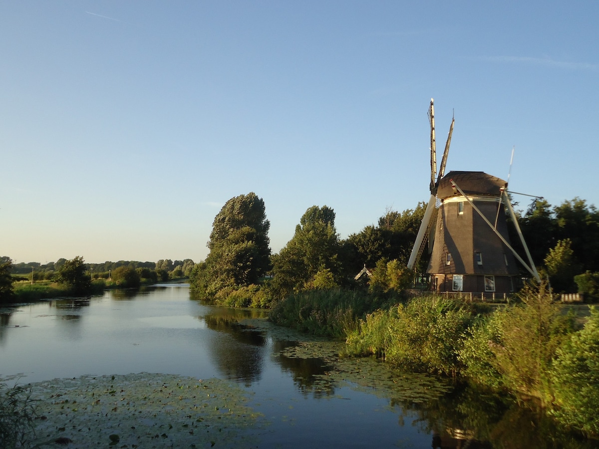 阿姆斯特丹风车
