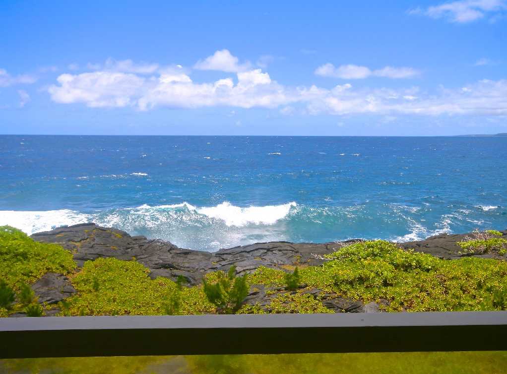 令人惊叹的海景-夏威夷鲸鱼屋