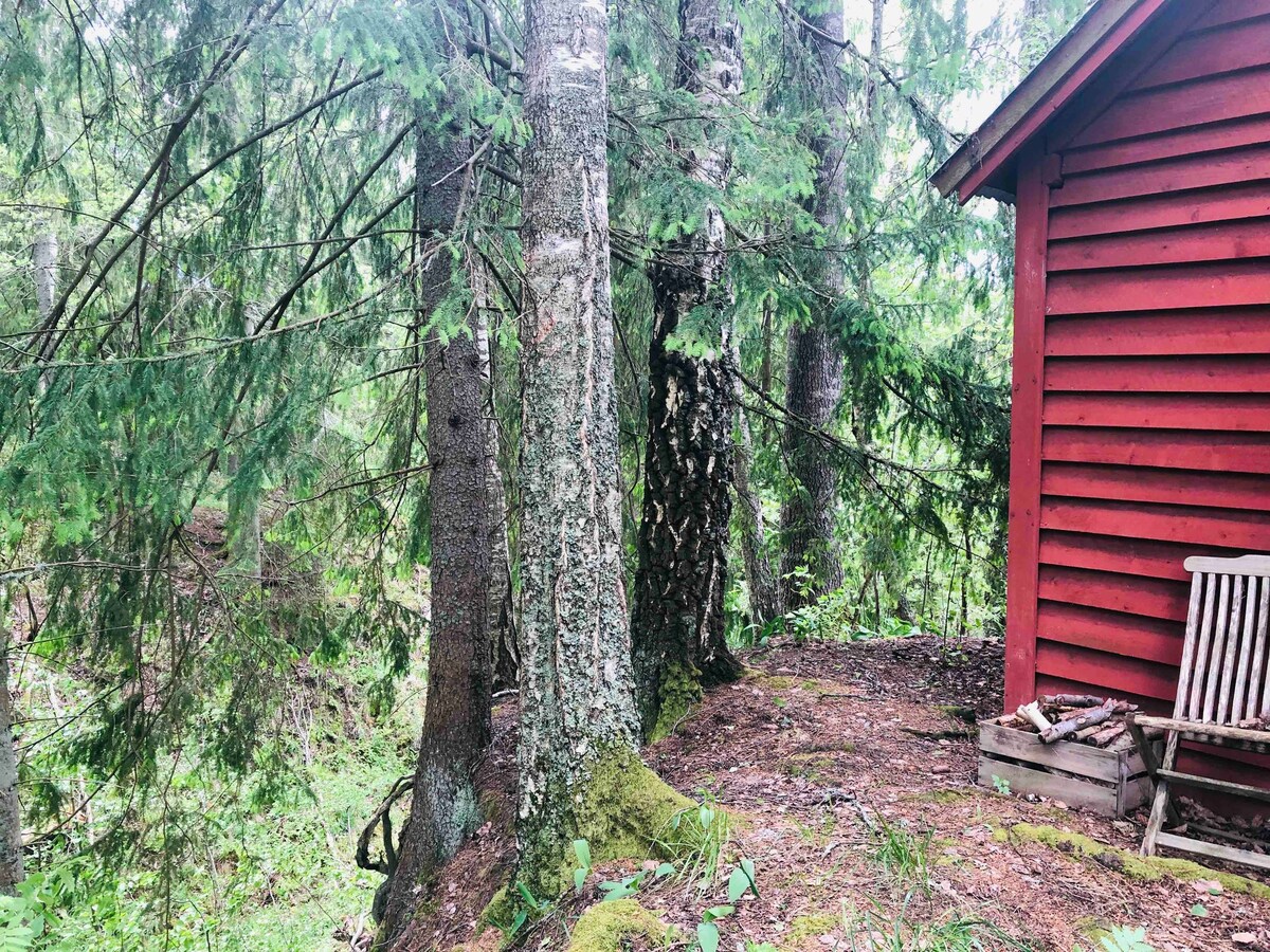 在森林中的小屋