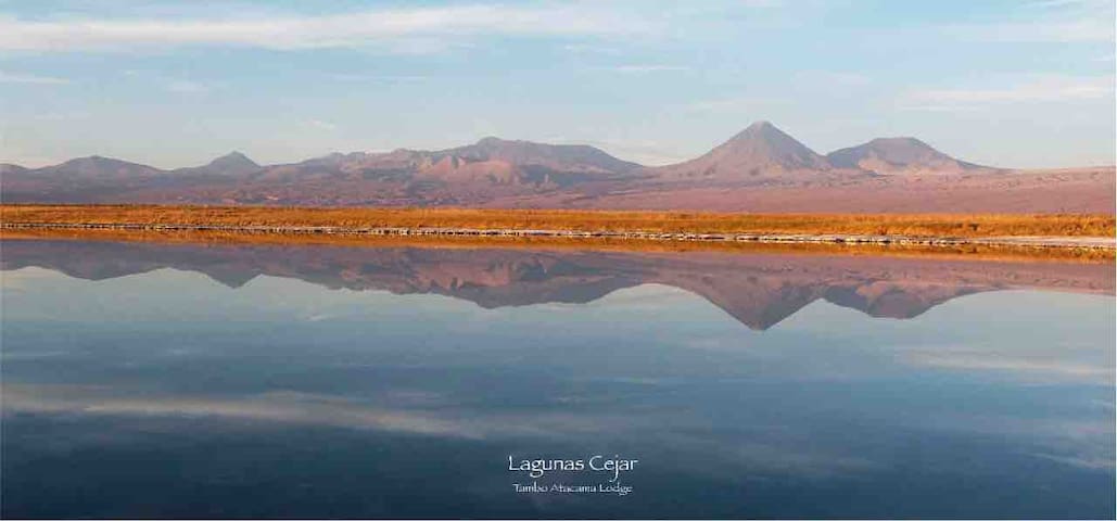 圣佩德罗德阿塔卡马 (San Pedro de Atacama)的民宿