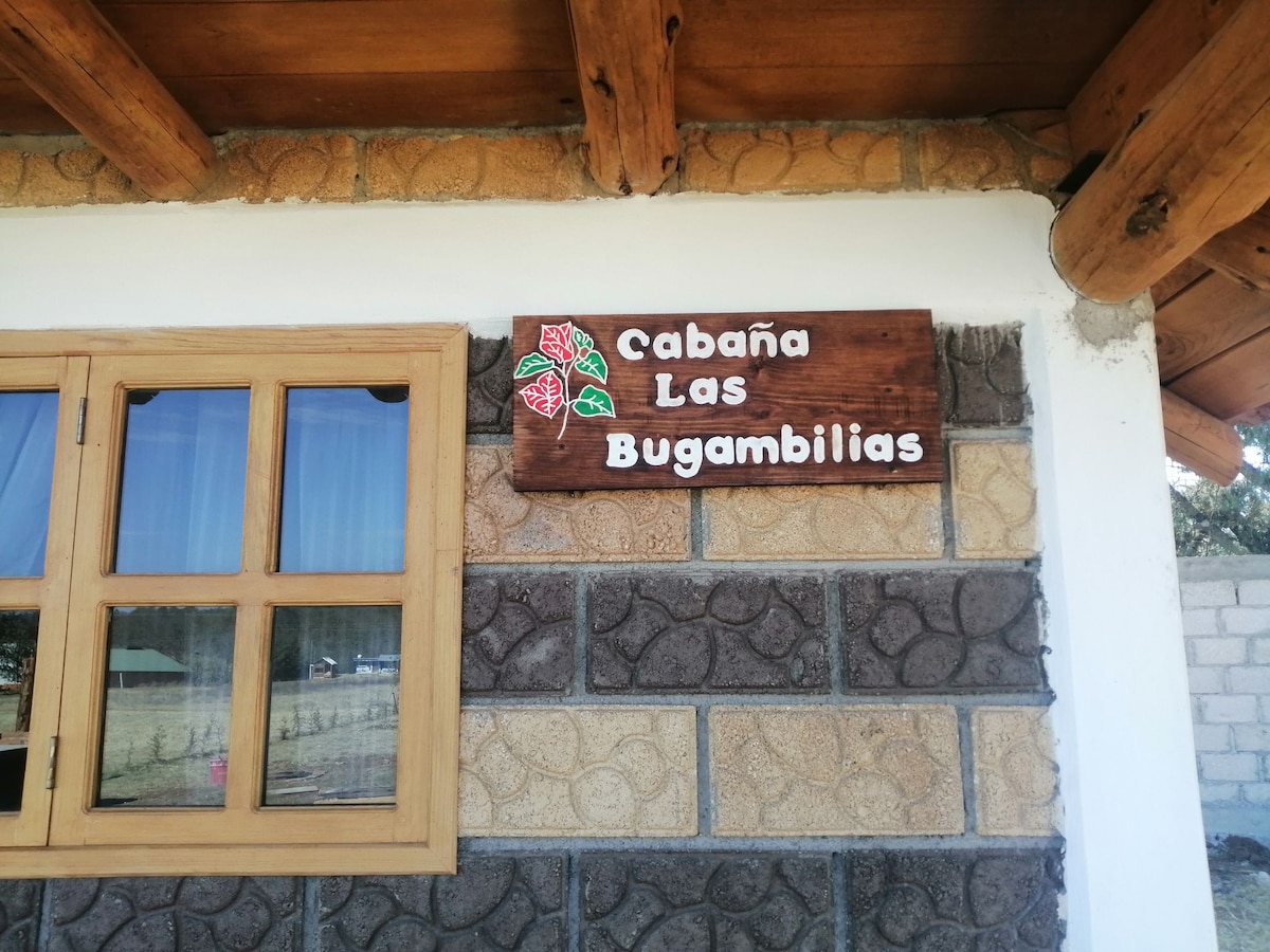 Cabaña Bugambilias Huasca El Zembo