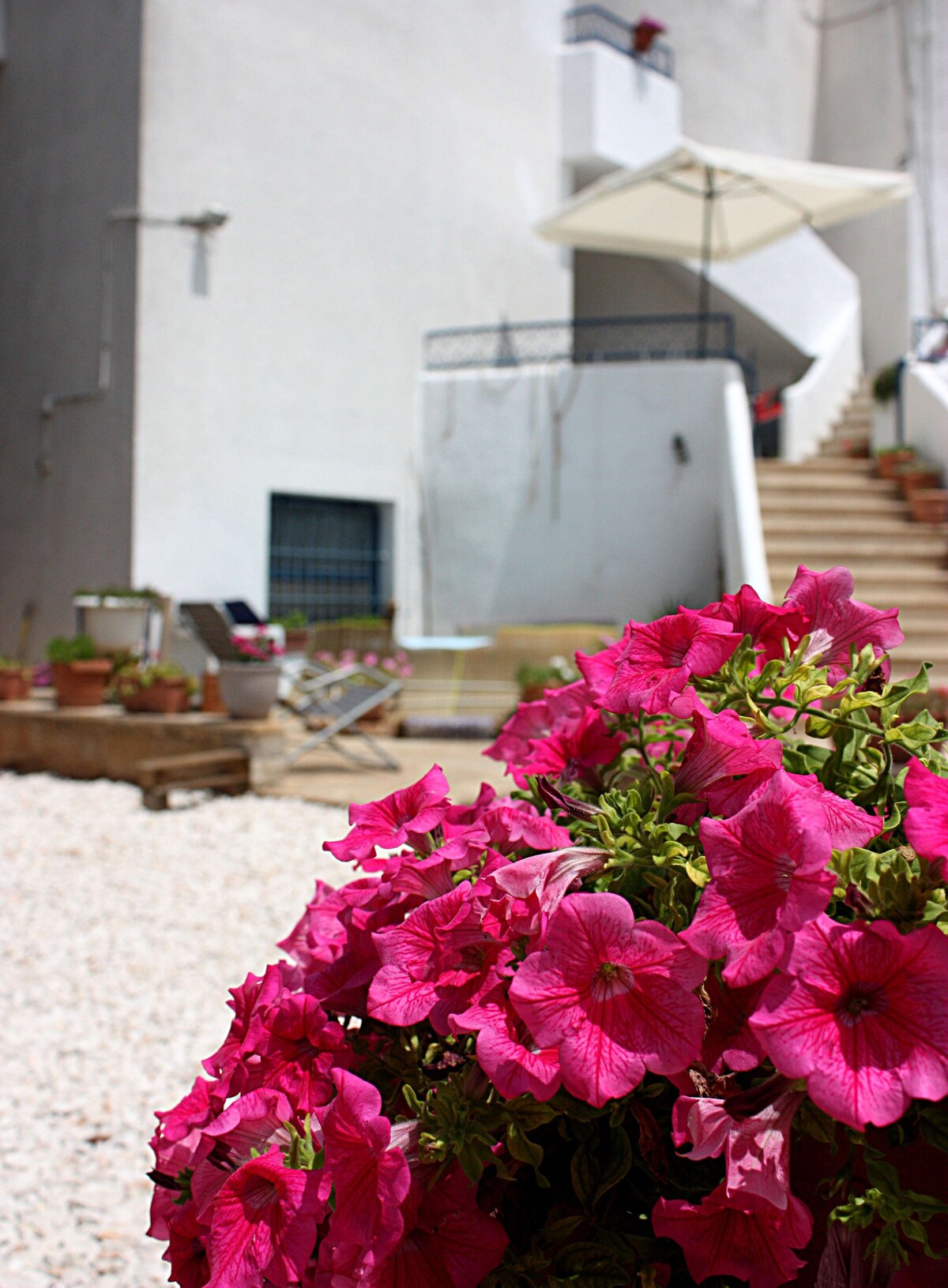 位于Puglia的Castellana Grotte ，靠近Alberobello