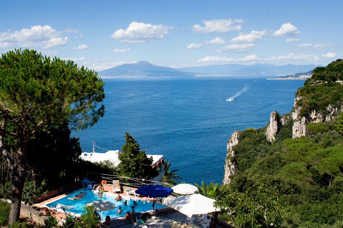 Wonderful Capri villa with sea view pool