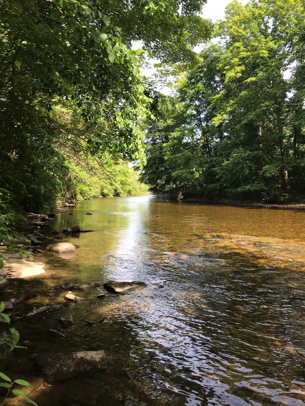 巴滕基尔河（ The Battenkill River ）古朴的粉红屋