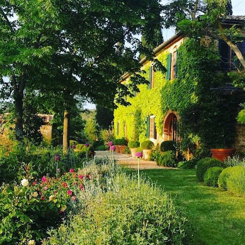 蒙达奇诺 (Montalcino)的民宿