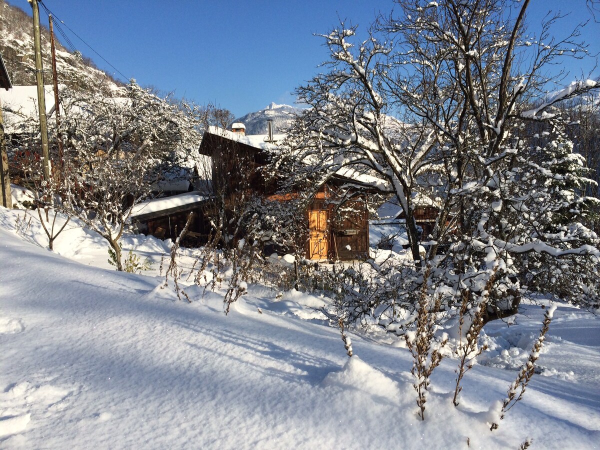 莫里安（ Savoie ）的度假木屋和山脉