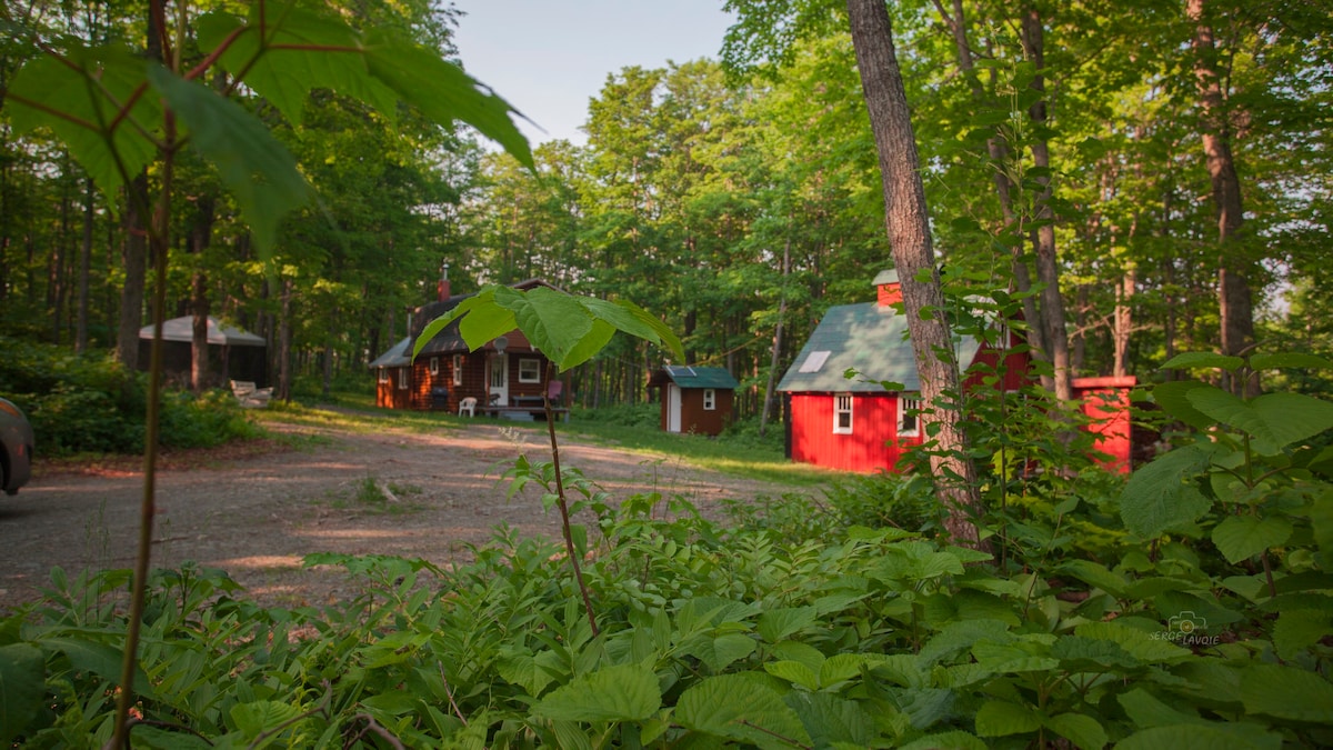 Forest Healing Cabin