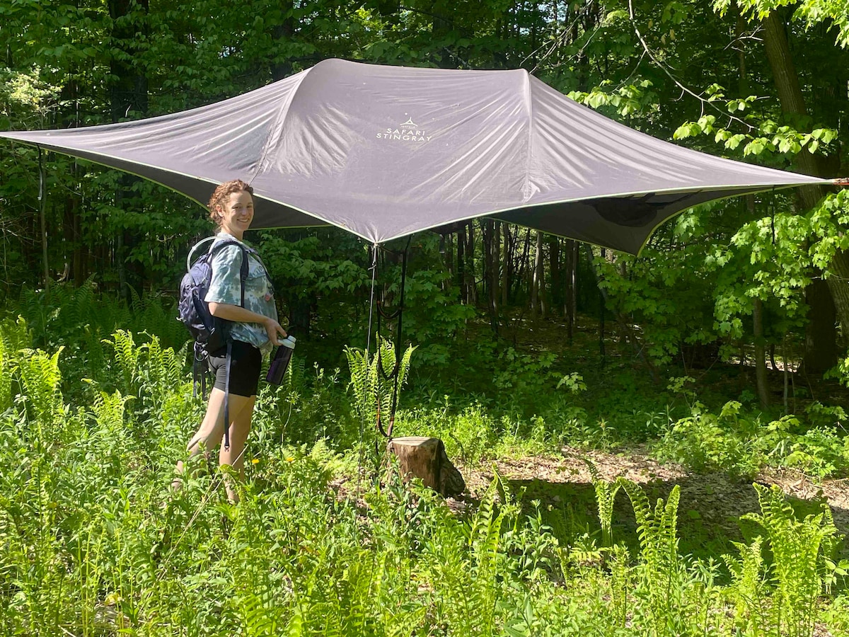 Camp SkyTent ：「Fern Gully」风景如画的露营地