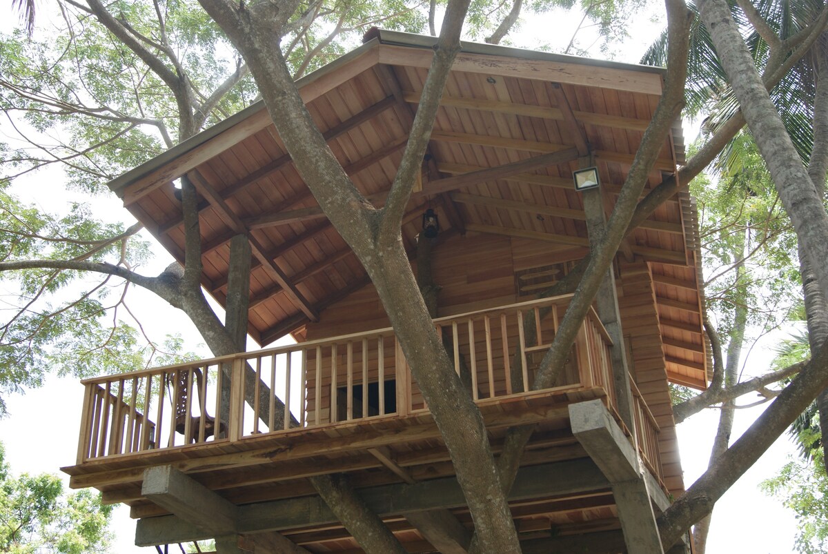 威尔帕图树屋（ Wilpattu Tree House ）