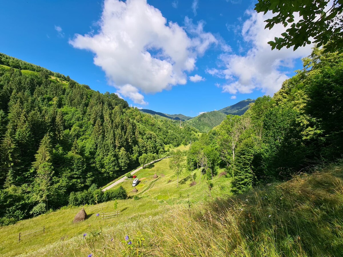 Cabana Cormăiza.