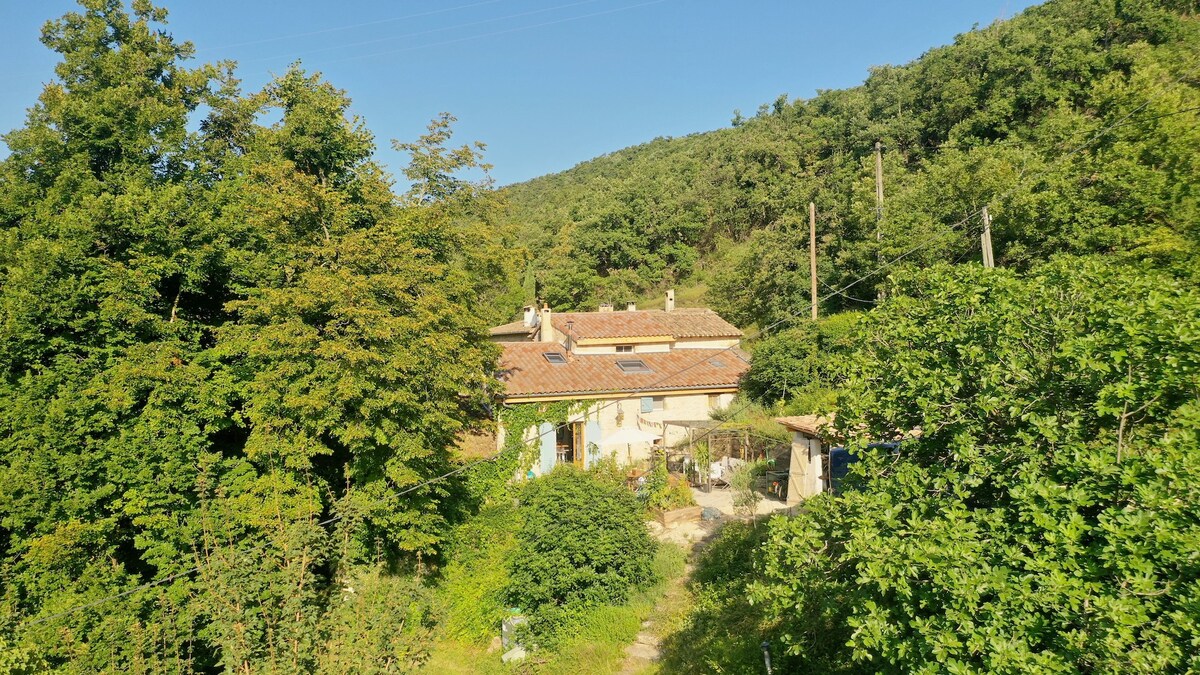 The Happy House - Val Drôme的森林。时髦的房东
