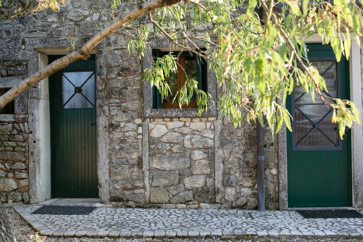 The Thinker 's Refuge - in the Berici Hills