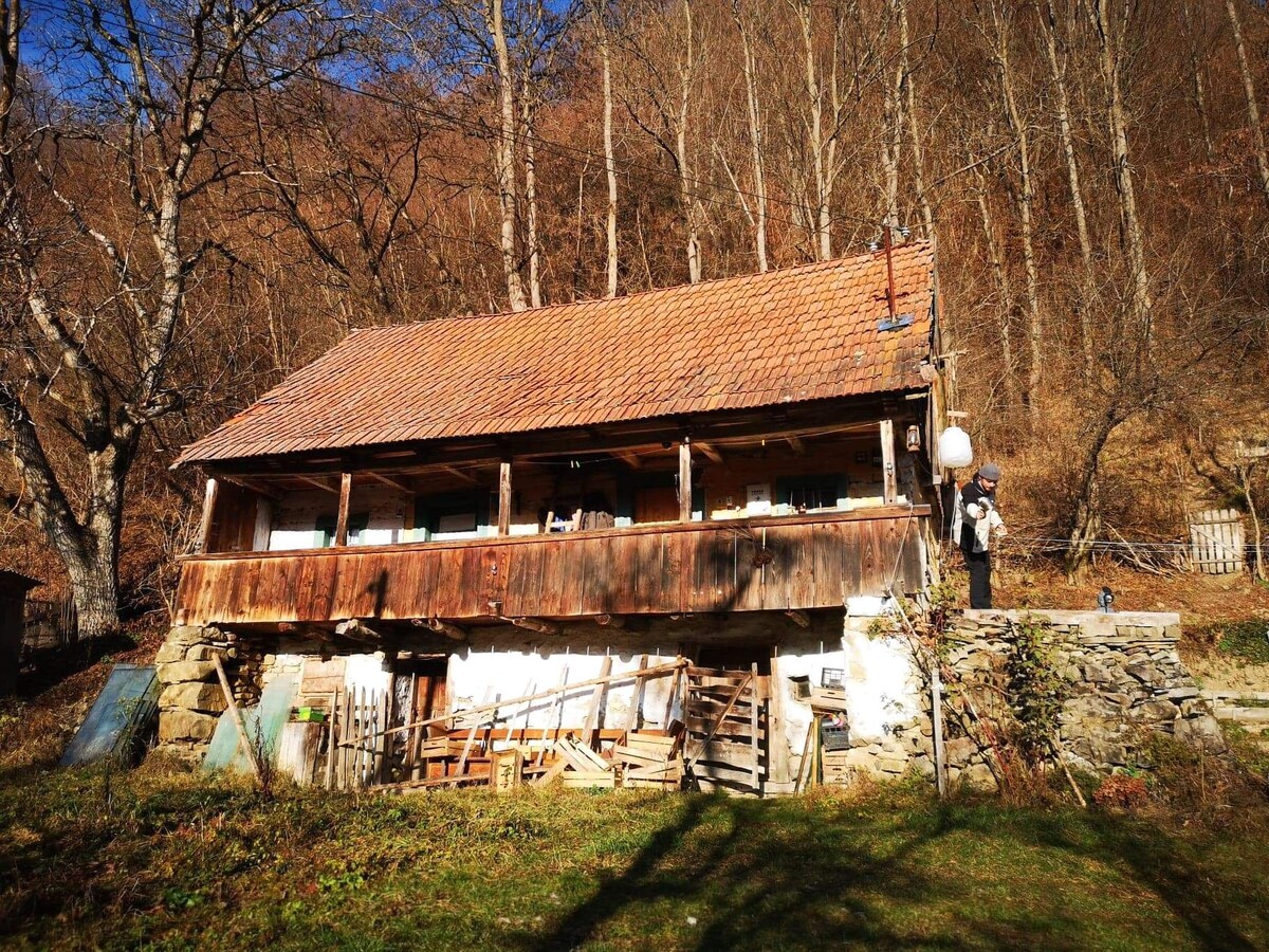 Peaceful countryside house in Transylvania