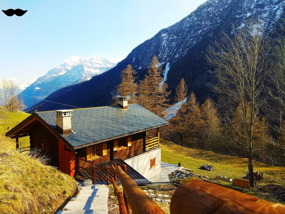 小木屋/山地度假木屋中的公式住宿加早餐租赁房间