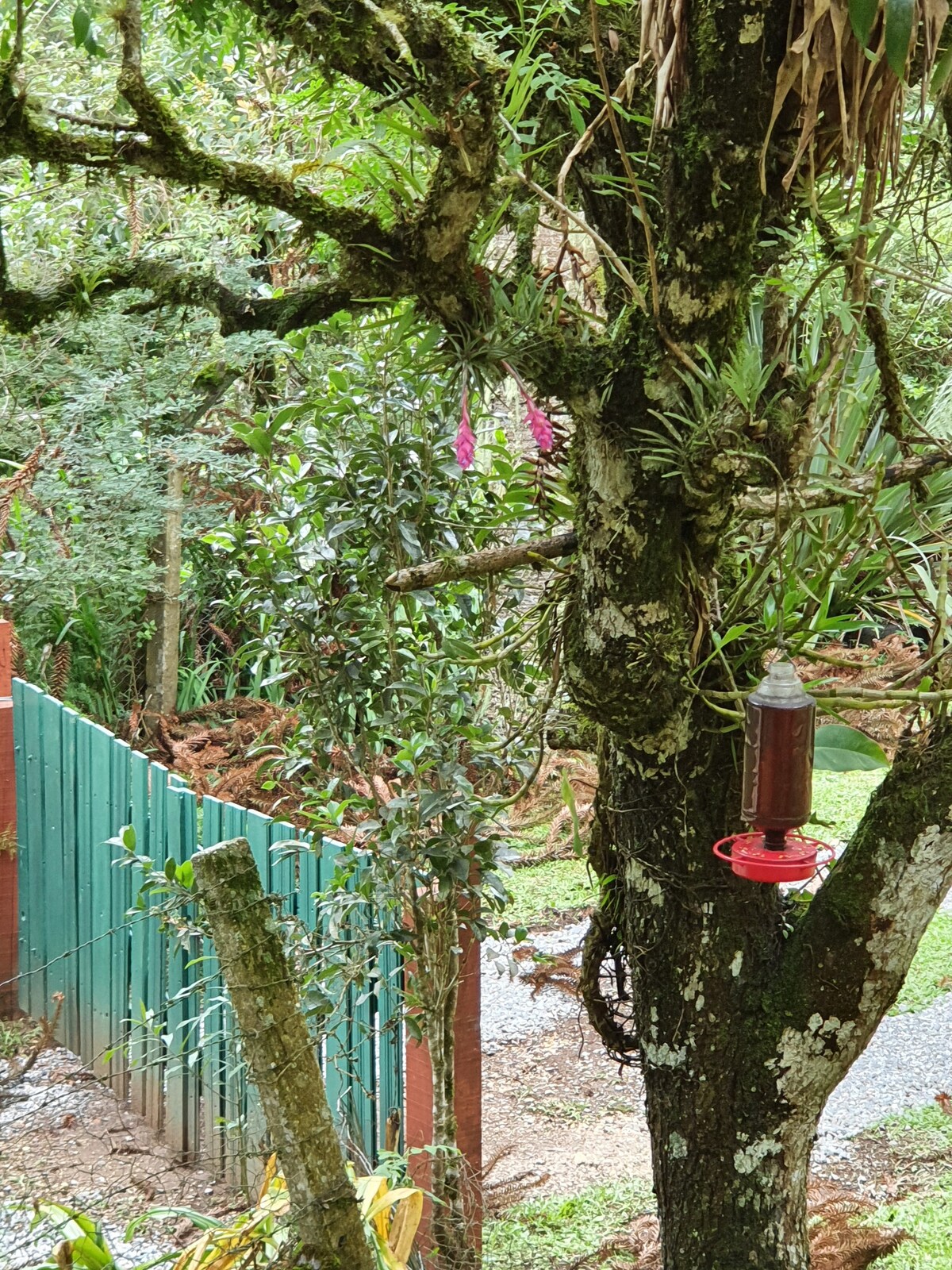 Casa com Jardim e Wi-Fi c/ internet ilimitada.