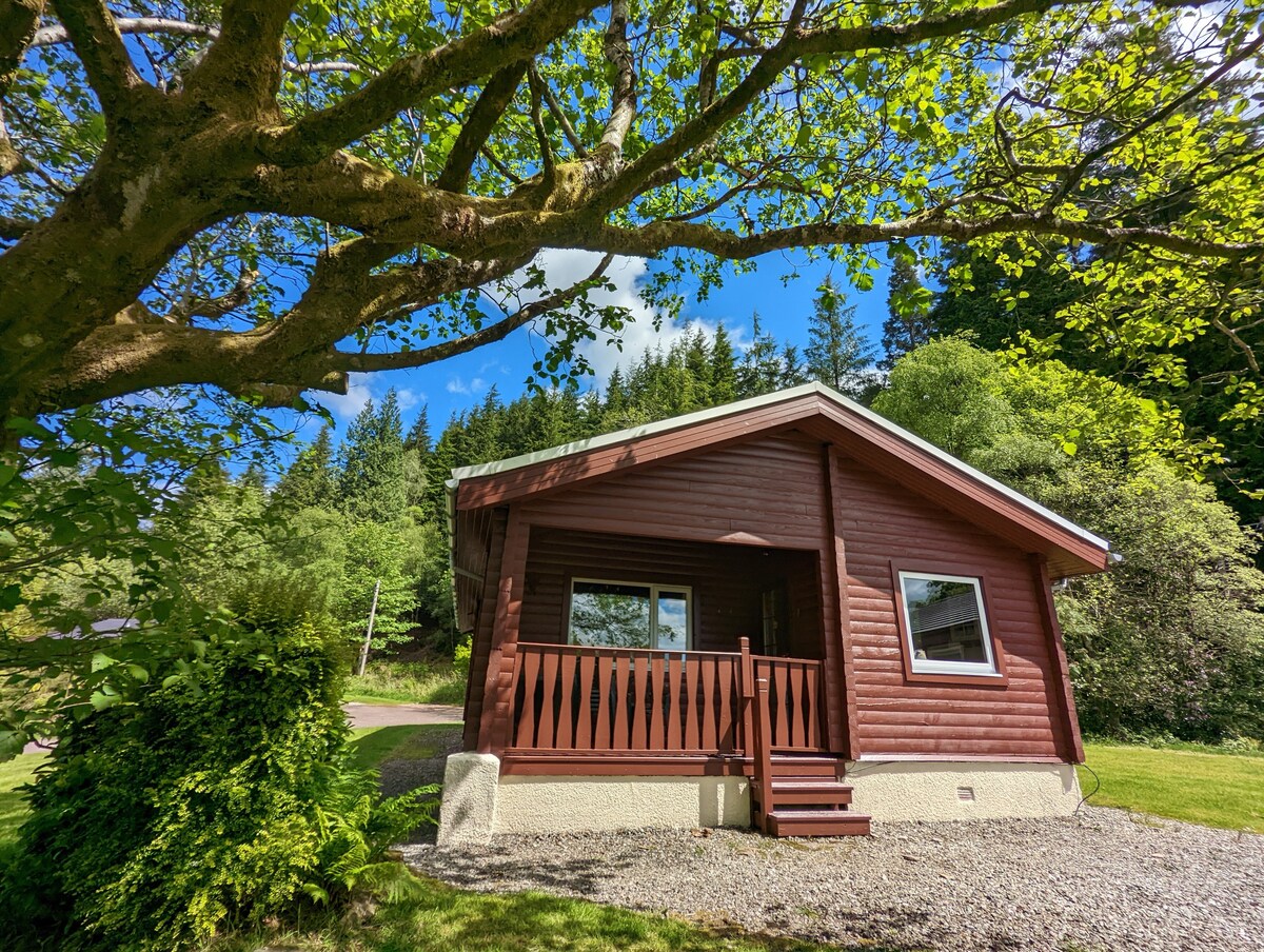 Ruskin Lodge South, 3-bed log cabin in the woods