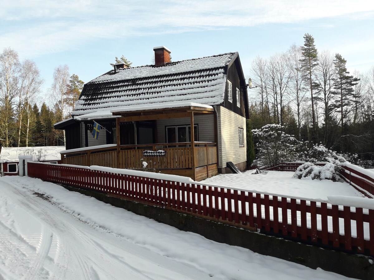 森林边缘的瑞典房屋