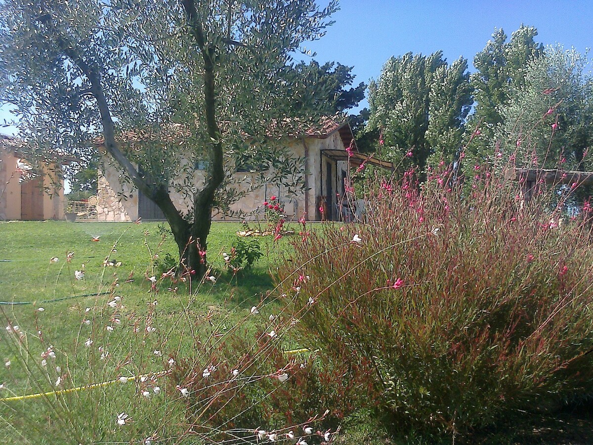 Casale, agriturismo/casa vacanze dog friendly