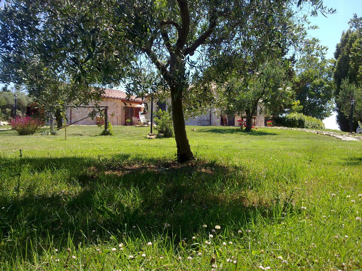 Casale, agriturismo/casa vacanze dog friendly